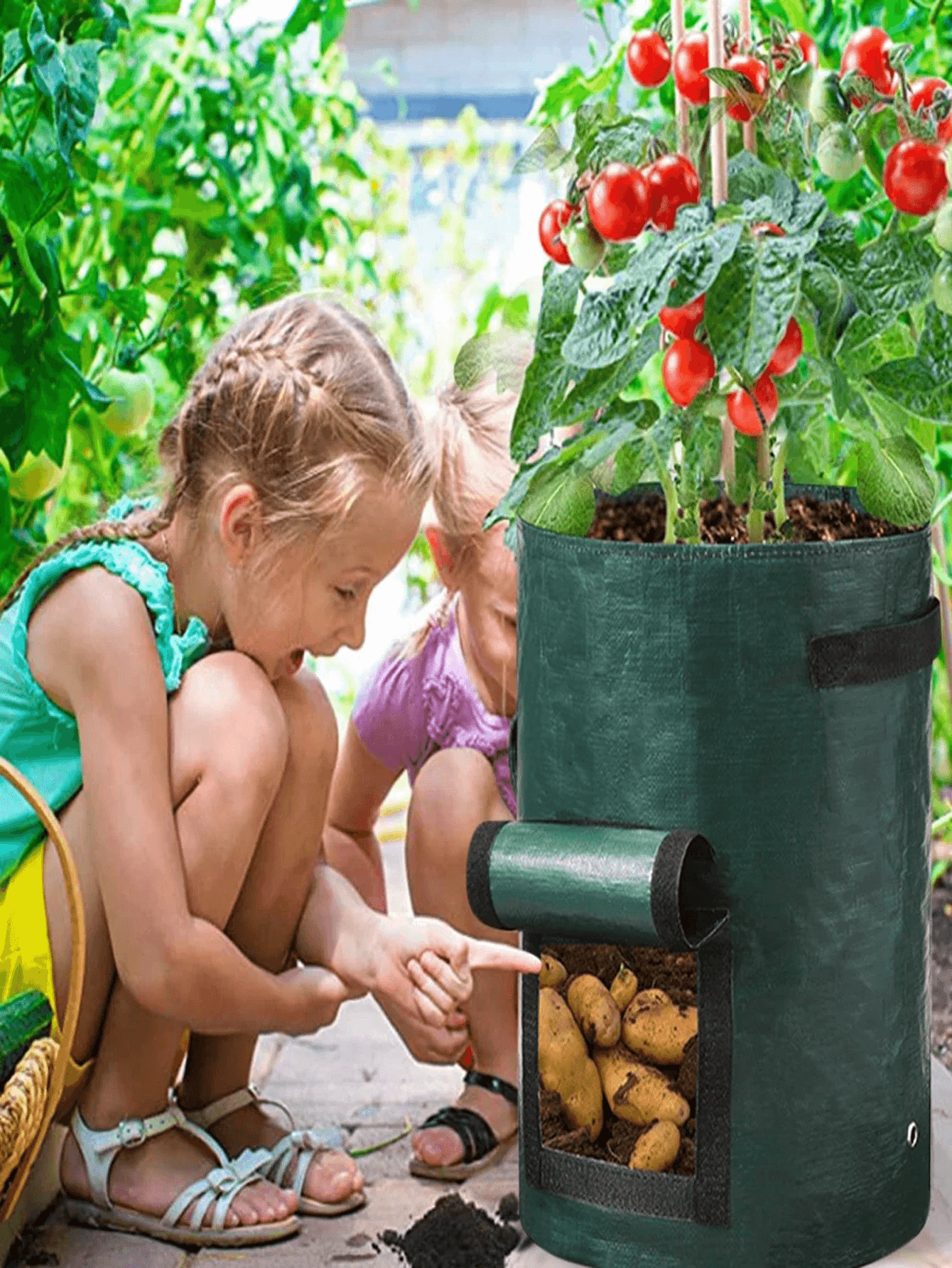 5 PCS Vegetable Grow Bag Planting Bags
