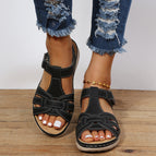 Black / 35