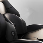 Classic black / Headrest lumbar massage