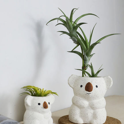 Air Plant Desktop Small Potted Nordic Ceramic Decoration