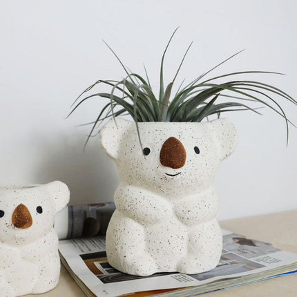 Air Plant Desktop Small Potted Nordic Ceramic Decoration