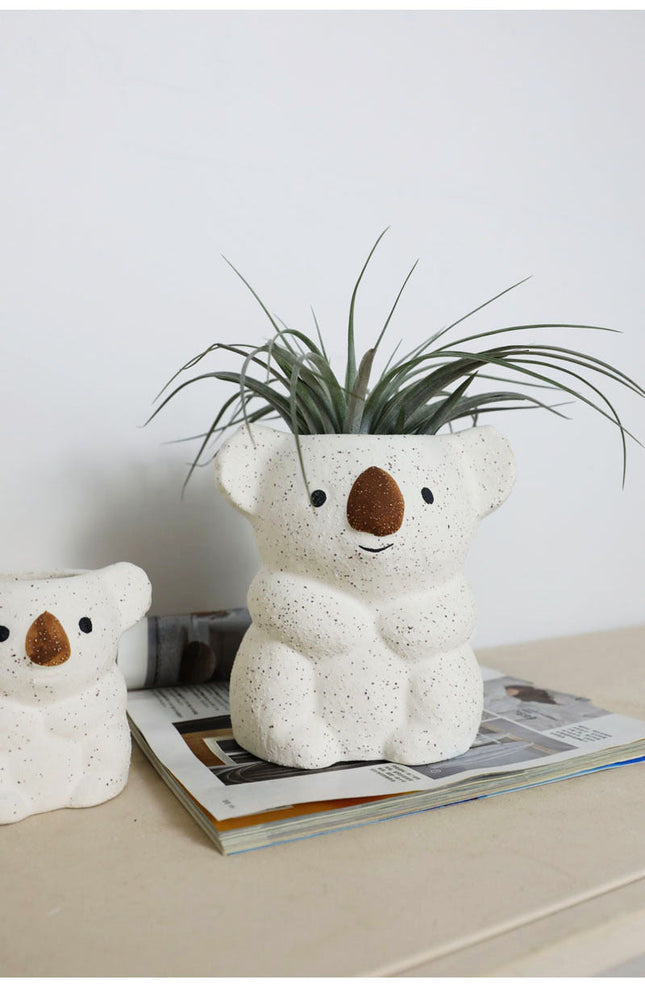 Air Plant Desktop Small Potted Nordic Ceramic Decoration