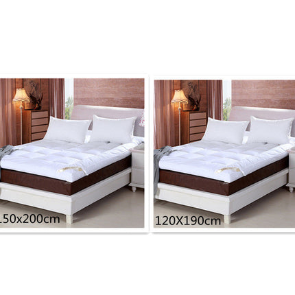 10cm Household Mattress Dormitory Soft Winter Warm