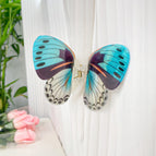 Blue Color