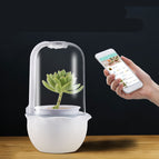 WiFi version / USB