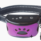 Purple / A set