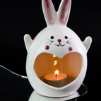 Long Ear Fat Rabbit