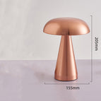 A rose gold / Monochromatic warm light