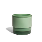 Green / 19cm
