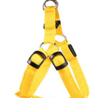 Yellow / M / Ordinary