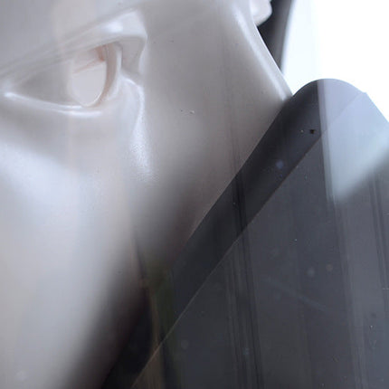 Transparent gas mask