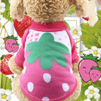 Strawberry / XS