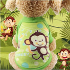 Monkey / M