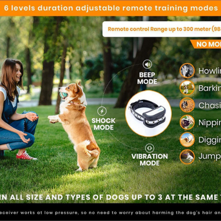 Electric Dog Fence