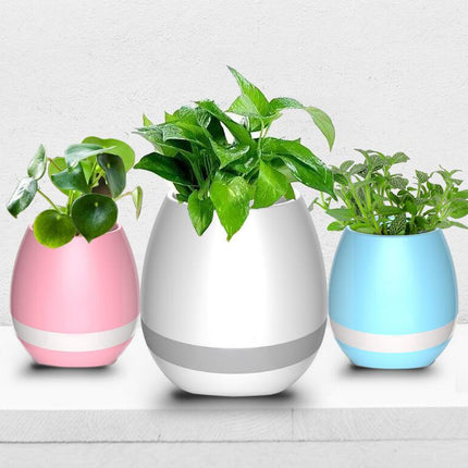 Music Flowerpot