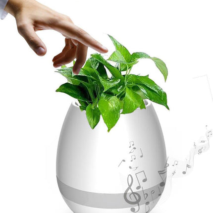 Music Flowerpot
