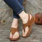 Brown / 37