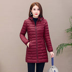 Wine Red / 4XL