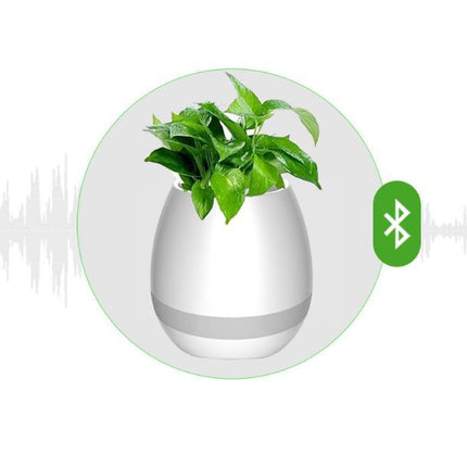 Music Flowerpot