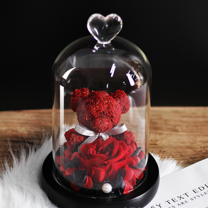 Preserved Flower Bear Glass Cover Gift Box