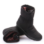 Black / 36
