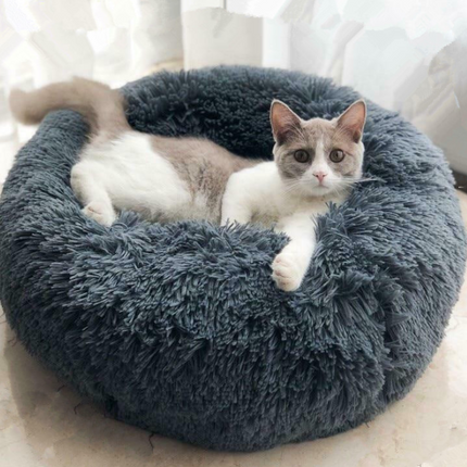 Good Pet Bed with Custom Box