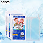 30PCS
