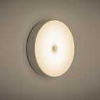 Beige / A