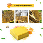 10PCS