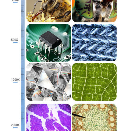 Digital Microscope HD 7 Inch