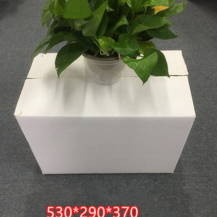 White Carton Express Carton White Palpable Mouth Box