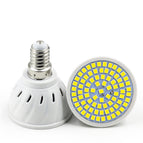 Warm White / E14 48  beads 220V