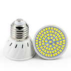 Warm White / E27 48  beads 220V