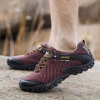 Wine Red / 38