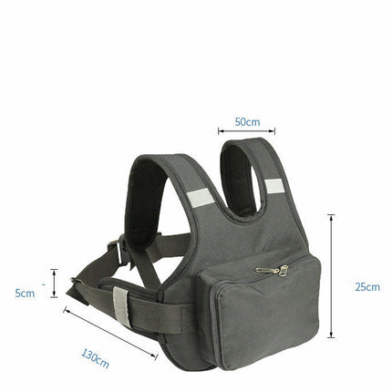 Electric Motorcycle Seat Belt