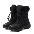 Black / 35