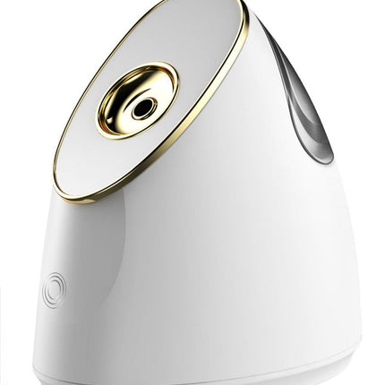 Source Manufacturer's New Product Beauty Steaming Face Sprayer UV Steaming Face Device