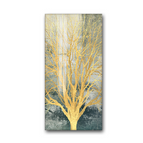 E / 30x60cm frameless