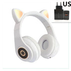 White US PLUG