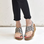 Leopard / 35