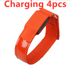Charging Gules 4pcs