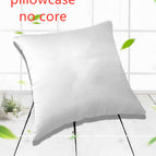 40X40cm pillowcase no core