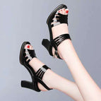 Black / 35