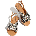 Leopard / 35