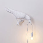 White / C / US