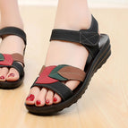 Black / 35
