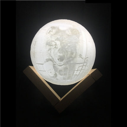 Custom photo Moon Lamp