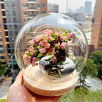 Cherry blossom / Glass cover
