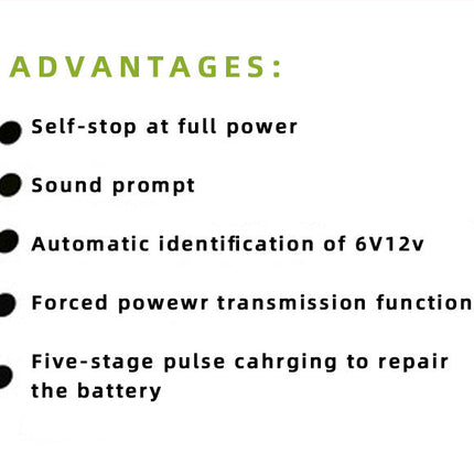 Automobile Battery Charger 12V24V