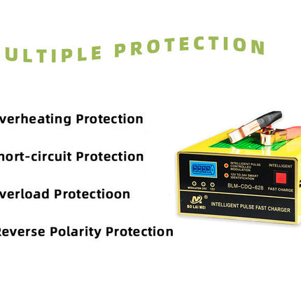 Automobile Battery Charger 12V24V